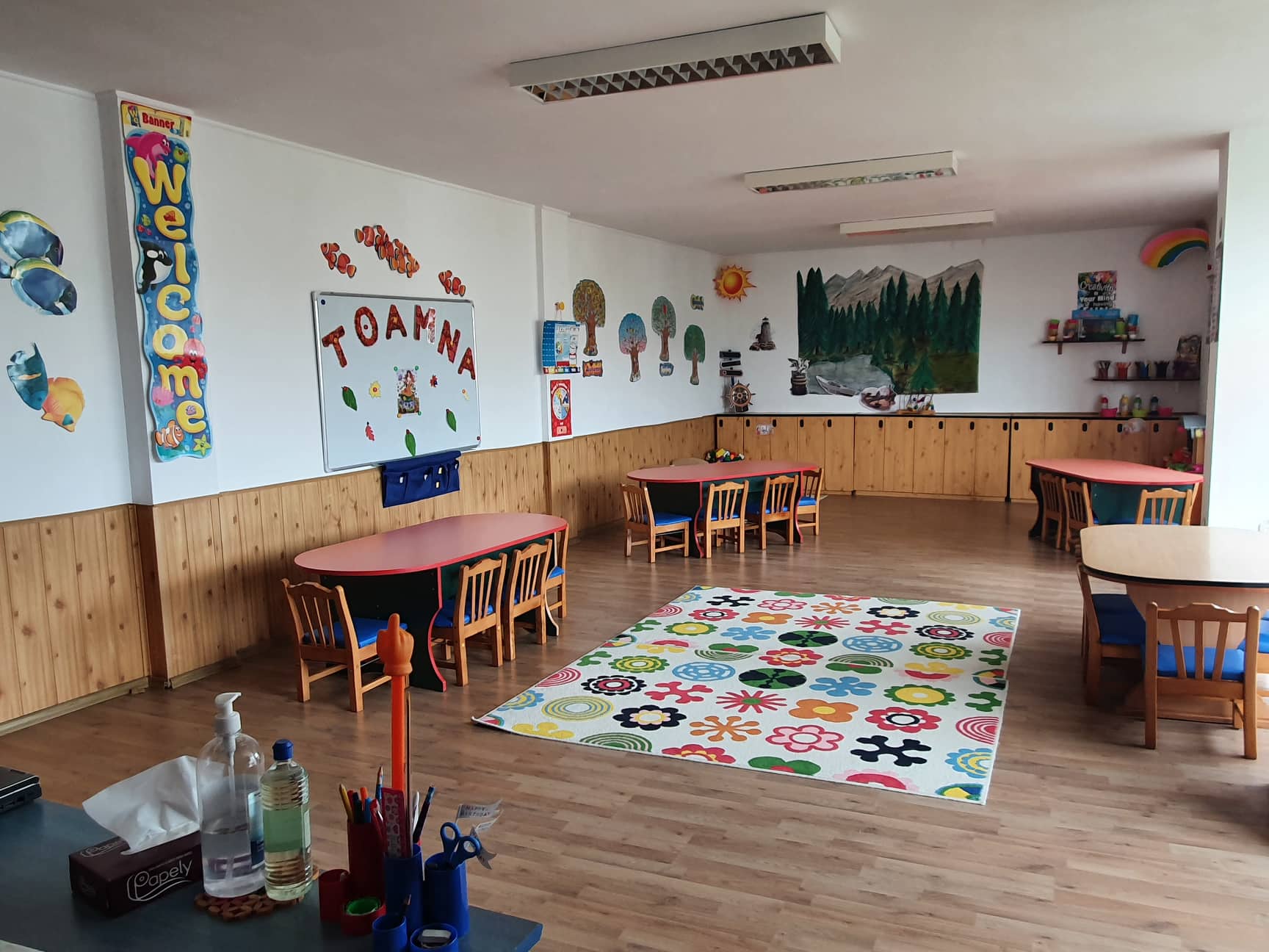 Gradinita Particulara Comenius - Constanta