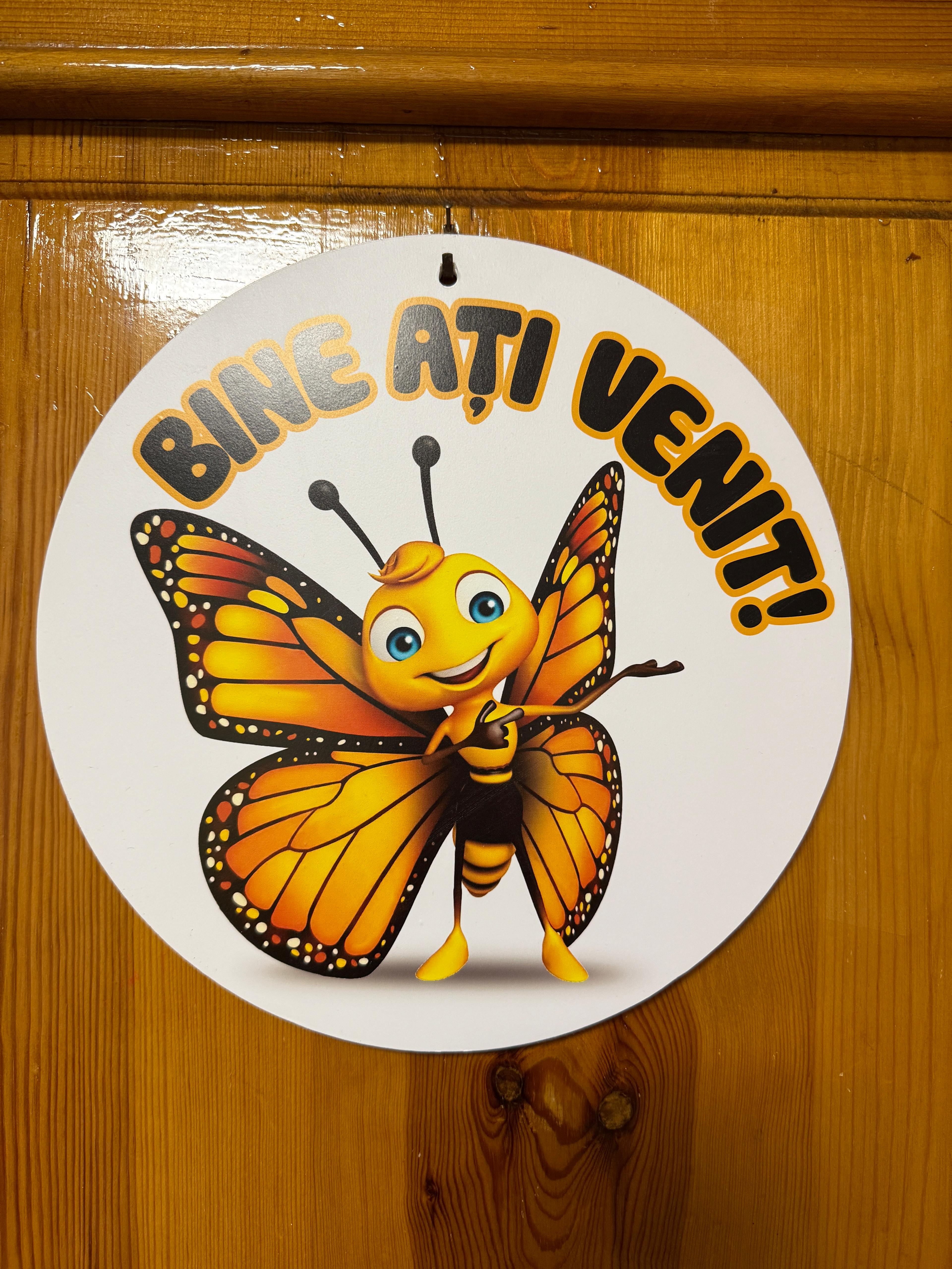Grupa Fluturașilor
